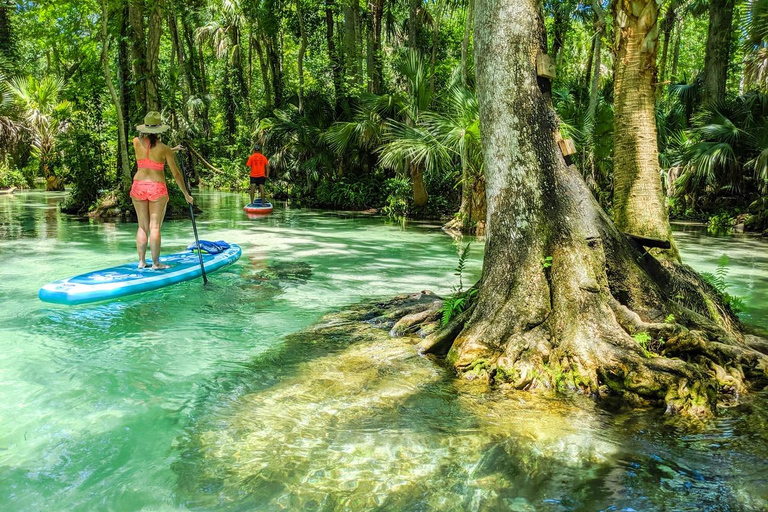 Florida: VIP Wild Florida Kayak Adventure VIP Wild Florida Kayak Adventure - Single Kayak