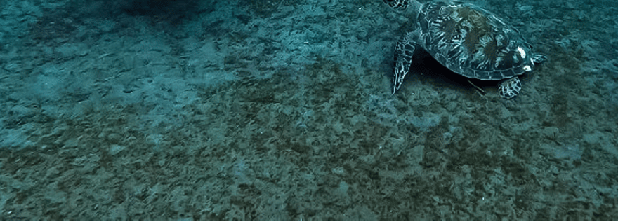 Amed : croisière au coucher du soleil et snorkeling avec Jukung