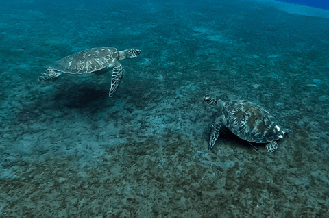 Amed Bali Snorkeling: Explore 3 Spots by Traditional Jukung