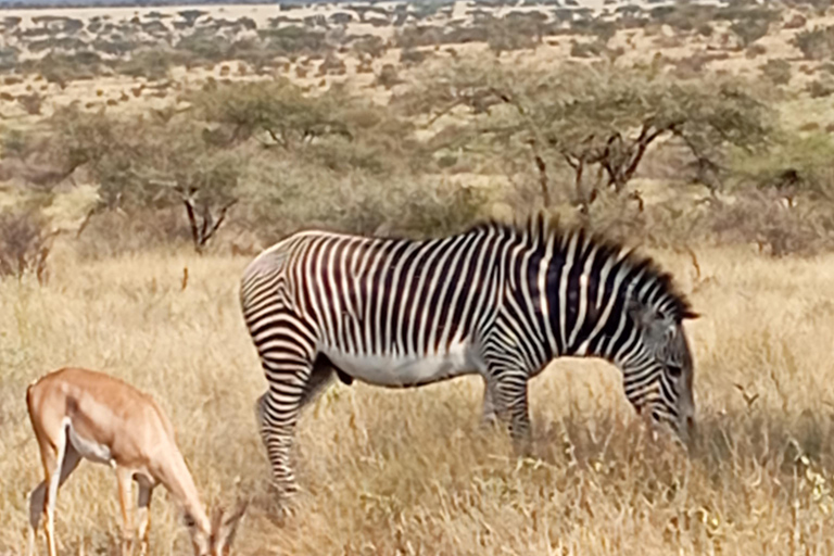 "Lake Naivasha Day Trip & Scenic Boat Ride Adventure"