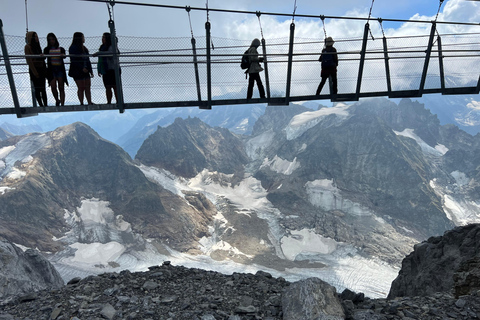 Best of Switzerland Bernese Oberland Dagsutflykt med linbana