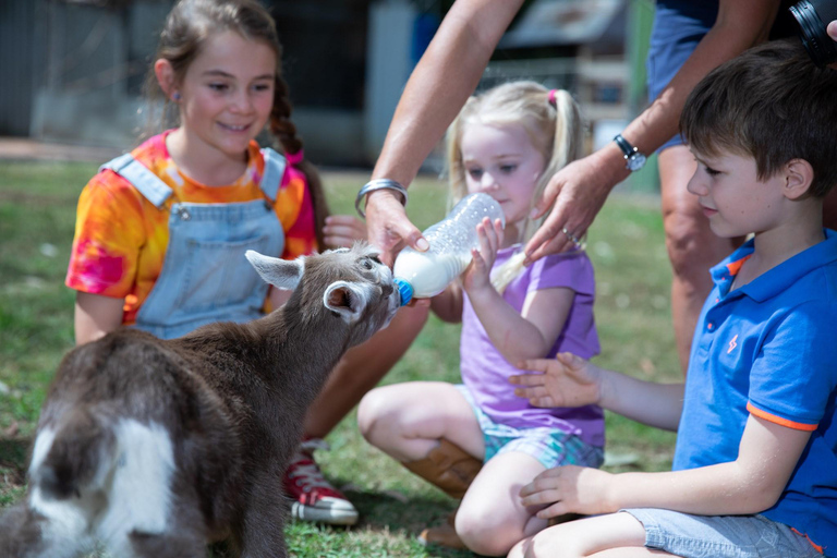 From Brisbane: White Ridge Farm - Animal Farm