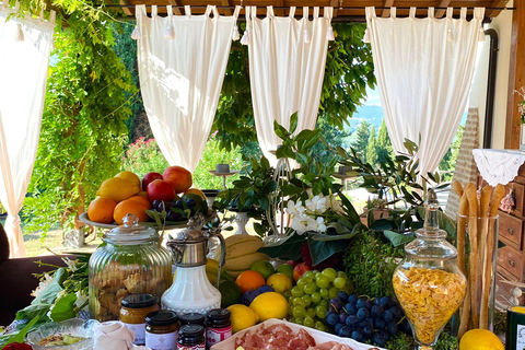 Peccioli: Wine tasting experience