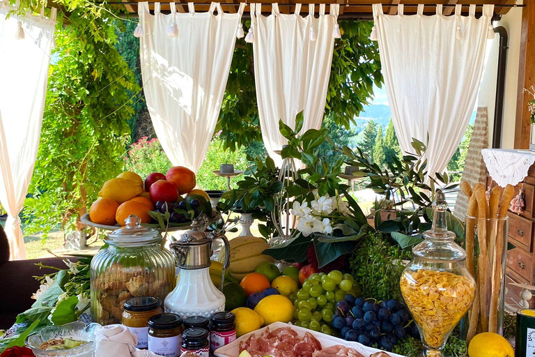 Peccioli: Wine tasting experience