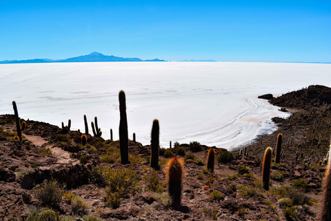 Z La Paz do Uyuni przez Park Narodowy Sajama