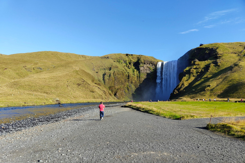 Depuis Reykjavik : Visite privée de la côte sud