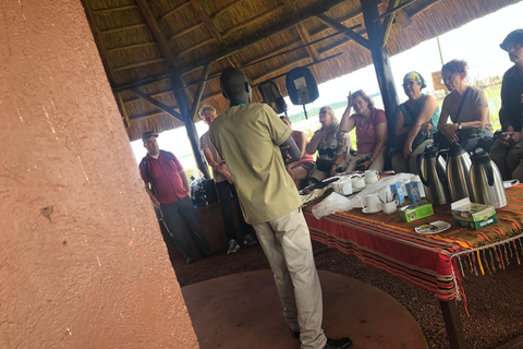 Kampala/Entebbe: Ngamba Island Chimps Sanctuary Tour