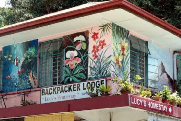 Pacchetto tour di un giorno della città di Kota Kinabalu e crociera sul fiume BongawanPacchetto tour giornaliero della città di Kota Kinabalu e crociera sul fiume Bongawan