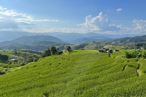 Terrazze di riso di Pa Pong Piang e Parco nazionale di Doi InthanonTerrazze di riso Pa Pong Piang e Parco Nazionale Doi Inthanon