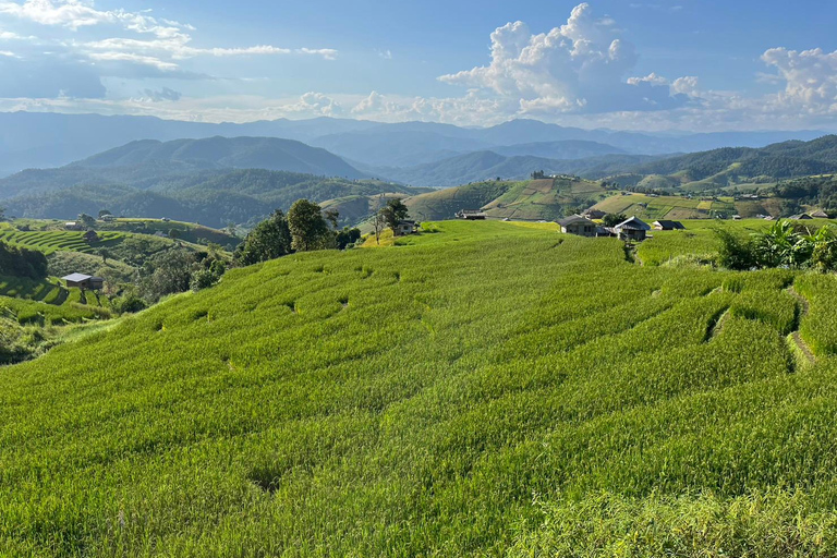 Terrazze di riso di Pa Pong Piang e Parco nazionale di Doi InthanonTerrazze di riso Pa Pong Piang e Parco Nazionale Doi Inthanon