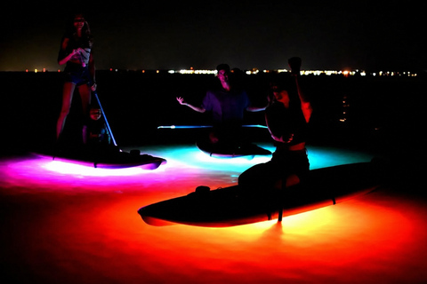Florida: LED Night Kayak Tour with Comb Jellies Group Tandem Clear Bottom Night Tour