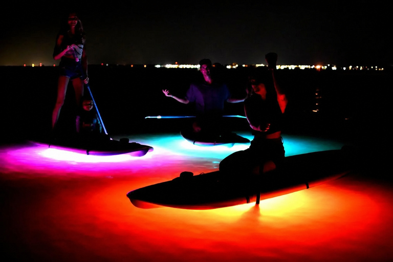 Florida: LED Night Kayak Tour with Comb Jellies Group Tandem Clear Bottom Night Tour