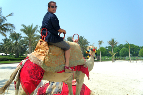 Agadir: passeio de camelo pelo rio FlamingoAgadir: Passeio de camelo no rio Flamingo