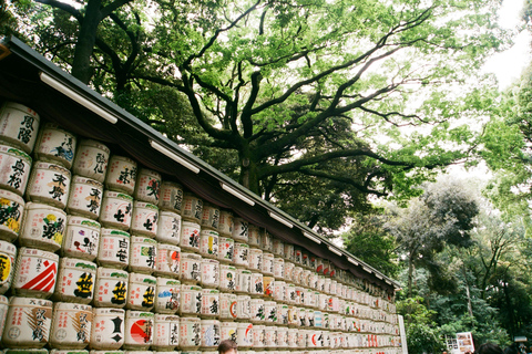 Tour privato di Tokyo in auto con autista di lingua inglese