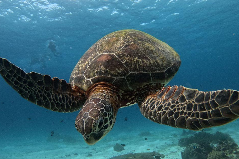 Puerto Ayora: Bay Excursion with Snorkeling and Coastal Landscapes