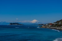 From Tokyo, Kamakura and Enoshima 1-Day Bus Tour - Housity