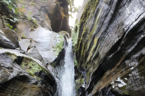 São Miguel: Level 2 Canyoning in Salto do Cabrito