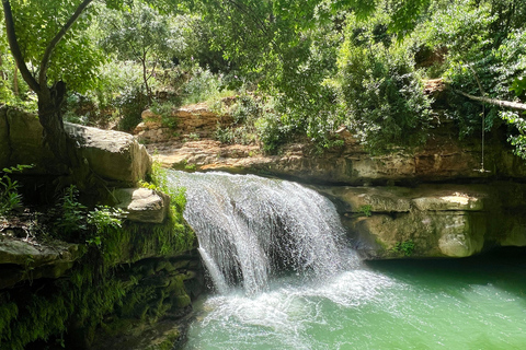 From Beirut: Full-Day Private Group Tour to AL CHOUF