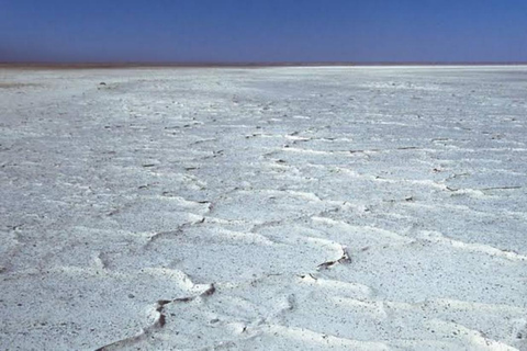 Botswana: Makgadikgadi Pans Day Trip