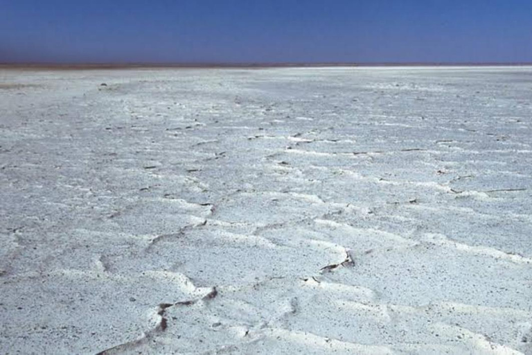 Botswana: Makgadikgadi Pans Day Trip