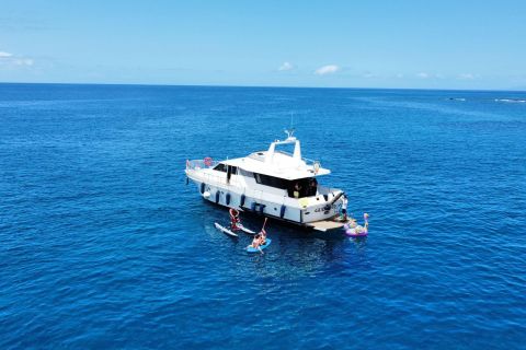 Teneriffa: 4-stündiger Ausflug in einer lustigen Yacht mit Wasserspielen und Spielzeug