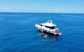- Canarie.it