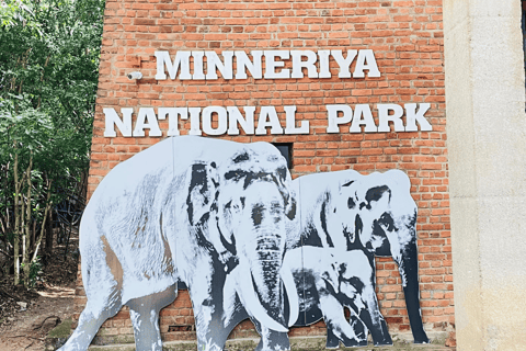 Sigiriya: Minneriya National Park Elephant Eco Jeep Safari From Sigiriya: Kaudulla National Park Jeep Safari