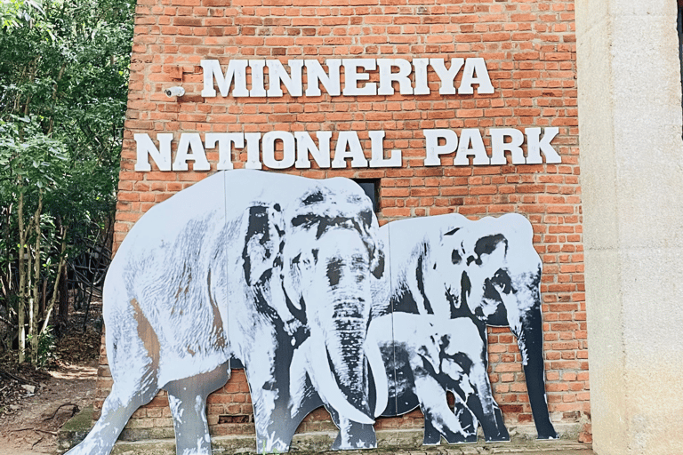 Sigiriya: Minneriya National Park Elephant Eco Jeep Safari From Sigiriya: Kaudulla National Park Jeep Safari