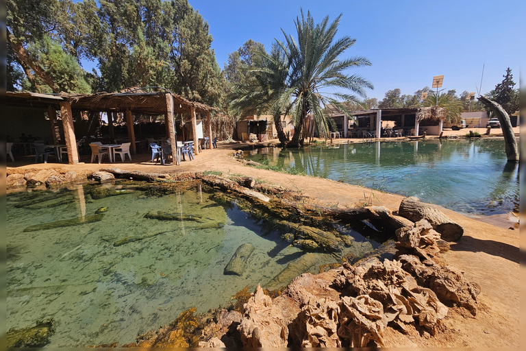 2-Day Sahara Escape: Ksar Ghilane Oasis & Desert Camp 2-Day Sahara Escape: from Mahdia