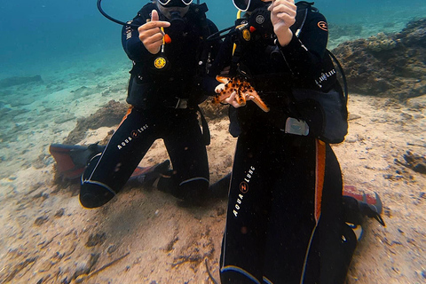 Boracay : Circuit dans les îles en bateau avec plongée en apnée et plongée sous-marine