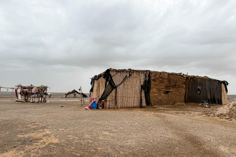 From Marrakech: 8-Day Morocco Tour to Old Cities & Desert