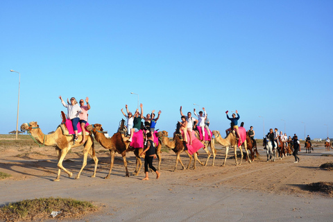 DJERBA: CAMEL AND HORSE (2H30).