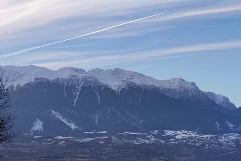 Private DayTrip Bucharest: Brașov, Dracula, Bear Sanctuary