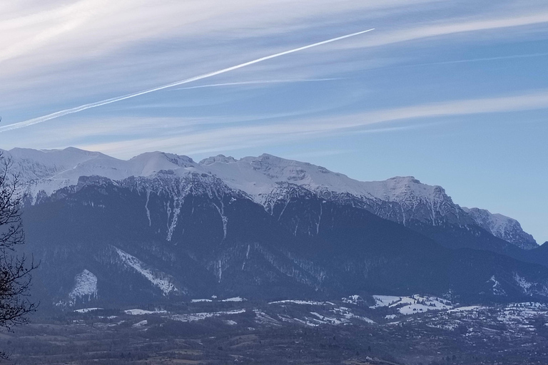 Private DayTrip Bucharest: Brașov, Dracula, Bear Sanctuary