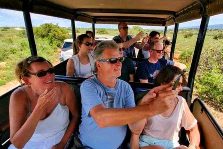 Johannesburg: 10-Day Victoria Falls & Garden Route Tour