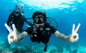 MUSCAT: TRY DIVING IN DAYMANIYAT ISLANDS