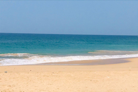 Colombo: Coastal Culture & Cinnamon Experience to Galle