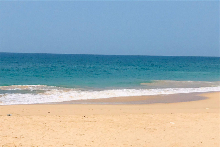 Colombo: Coastal Culture & Cinnamon Experience to Galle