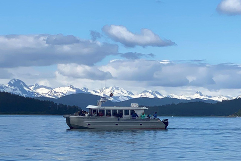 Juneau: Whale Watching Cruise with Bus Transfer