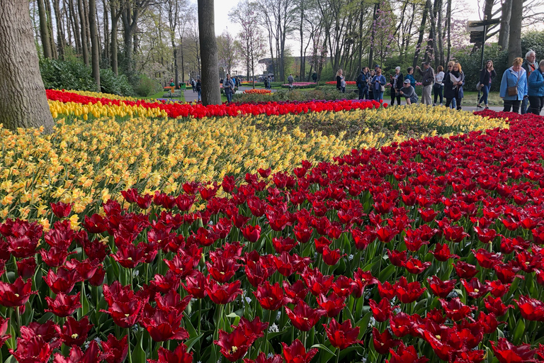 Keukenhof, fazenda de tulipas, campos de flores e Delft Blue