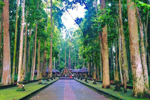 Bali : Visite d&#039;une jounée à la cascade de Nungnung, Tanah Lot TampleVisite privée d&#039;une jounée SANS billet d&#039;entrée