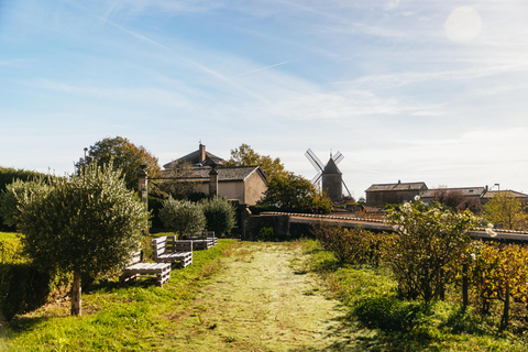 From Lyon: Beaujolais Region Wine Tour with Tastings