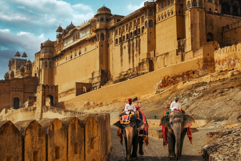 Au départ de Delhi : excursion privée guidée de Jaipur avec transfertsVisite privée avec voiture, chauffeur, guide et billets d'entrée
