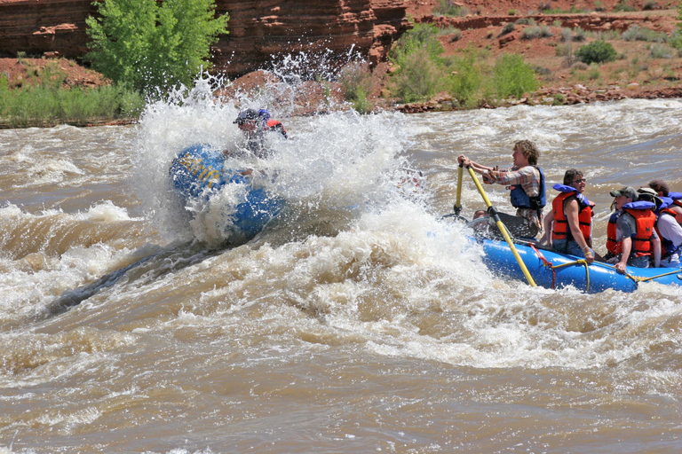 Colorado River Rafting: ochtend van een halve dag bij Fisher Towers