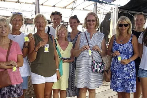 Lombok: Pearl Farm Tour and Gili Air Day Trip