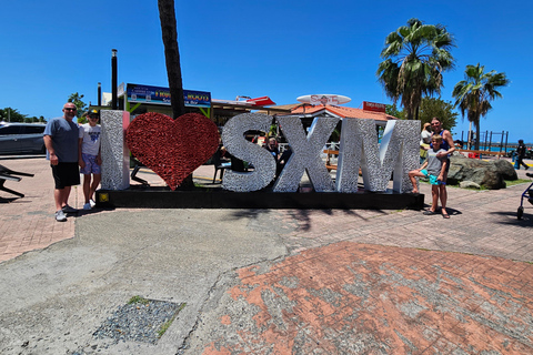 Sint Maarten: Tour guidato in ATV e Buggy con vista panoramicaTour Boogie