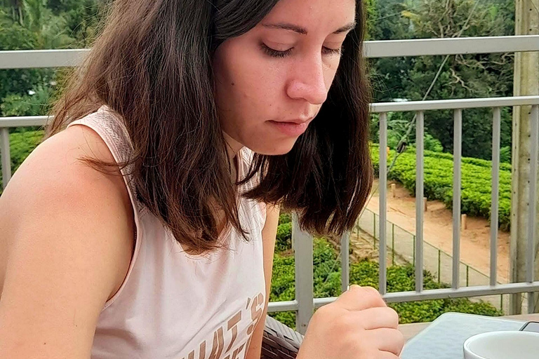 Trip from Kandy to Ambewela Railway Station via Nuwara Eliya Kandy to Nuwara Eliya and Ambewela Drop tour by car or van