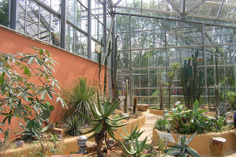 Amsterdam: Botanical Gardens "Hortus Botanicus" Entry Ticket