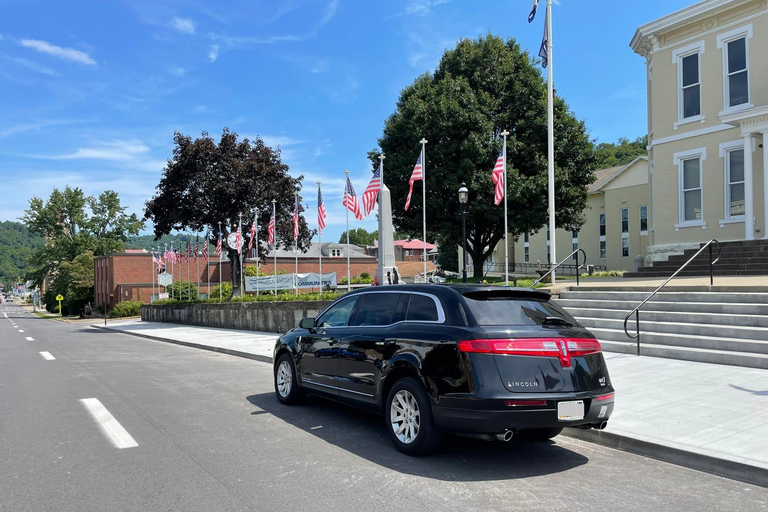 Puerto de Cruceros de La Romana: Traslado privado a la ciudad de La RomanaPuerto de cruceros de La Romana: Traslado de ida a la ciudad de La Romana