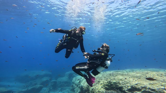 Visit PADI Scuba Diving Program for Beginners in Peloponesse in Chora, Greece